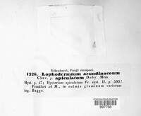 Image Associated With the Occurence